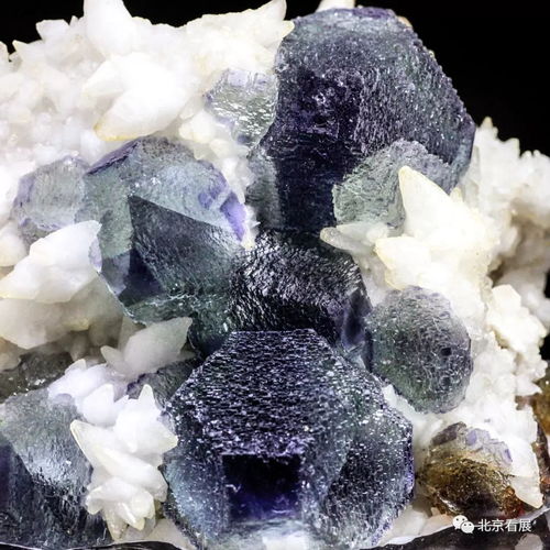 國內頂級礦物晶體首次展出，彰顯科學價值與藝術魅力